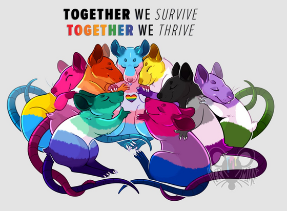 a circle of pride-colored cartoon rats, hugging.
Caption: Together we survive, together we thrive