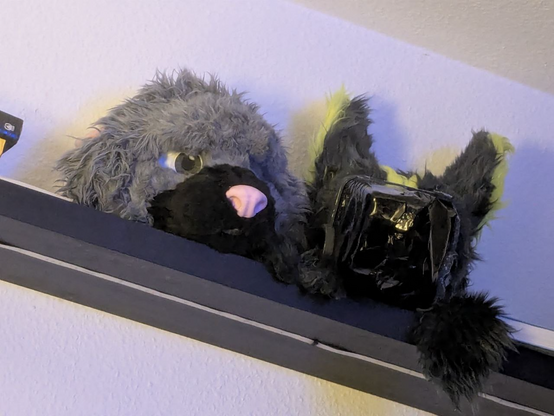 rat and protogen fursuit heads on a shelf