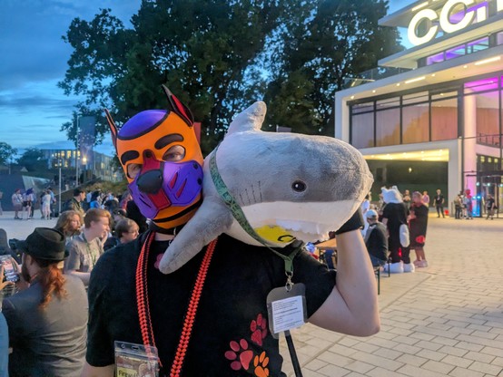 Puppy with plush shark on his shoulder