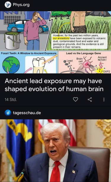 phys.org headline: "Ancient lead exposure may have shaped evolution of human brain"

Underneath a different newspost that has trump as the cover photo