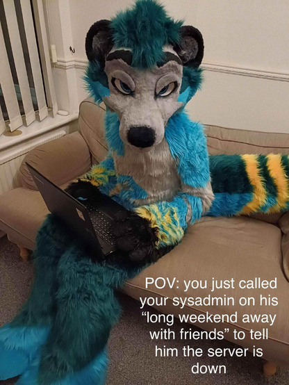 a fursuiter with a laptop looking at the camera.

Captioned:
POW: you just called your sysadmin on his "long weekend with friends" to tell him the server is down