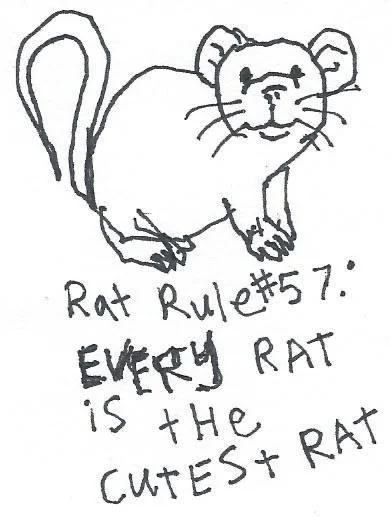 Drawing of a rat
Caption:
Rat Rule #57:
EVERY rat is the cutest rat
