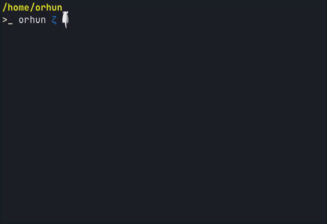 demonstration of the ratty termonal, including 3d rendered terminal output