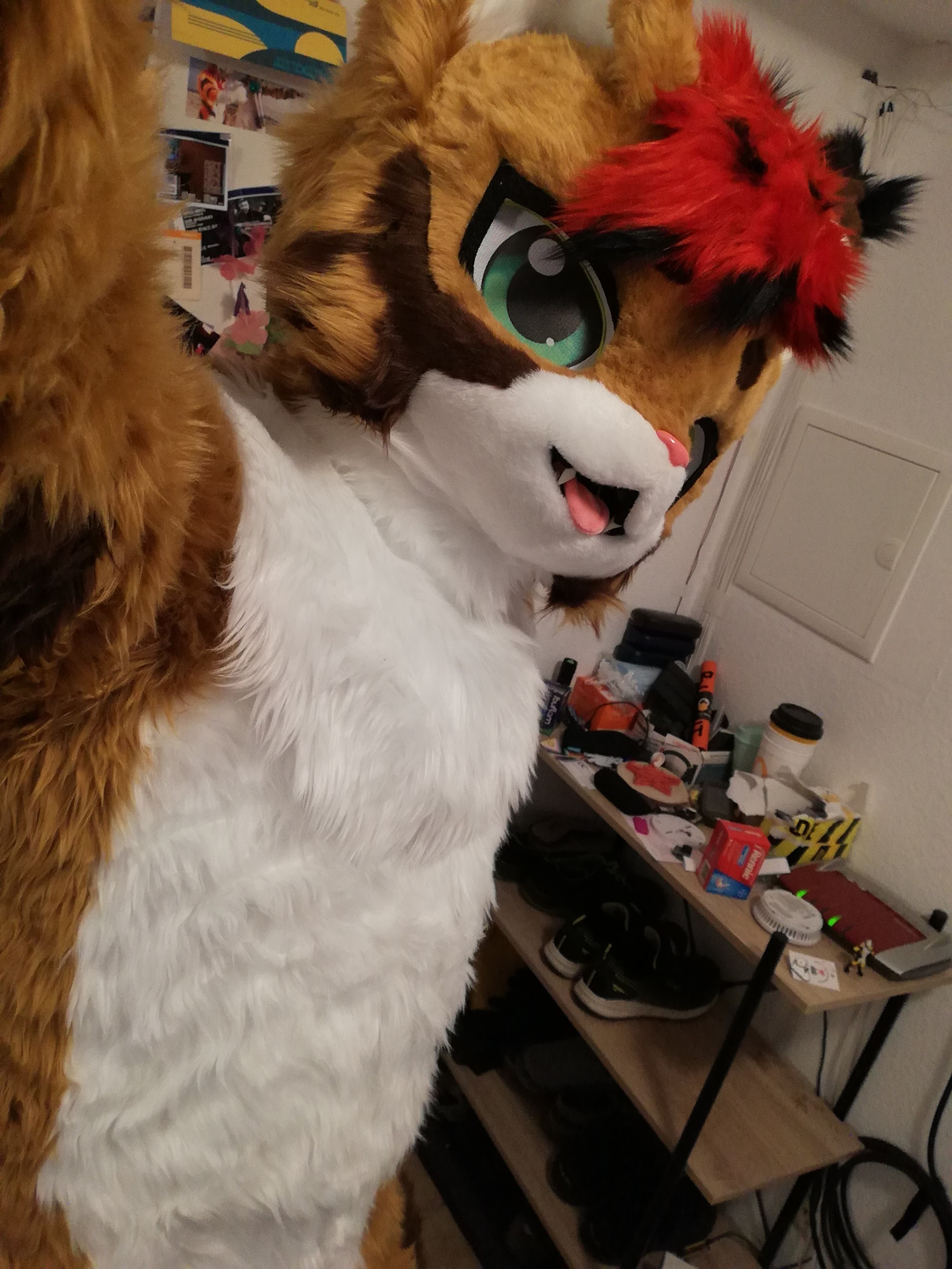 A selfie of the same fursuiter at home