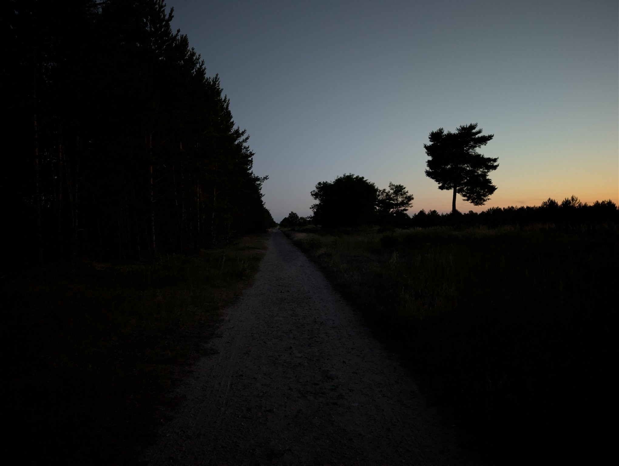 Similar picture but down a gravel path