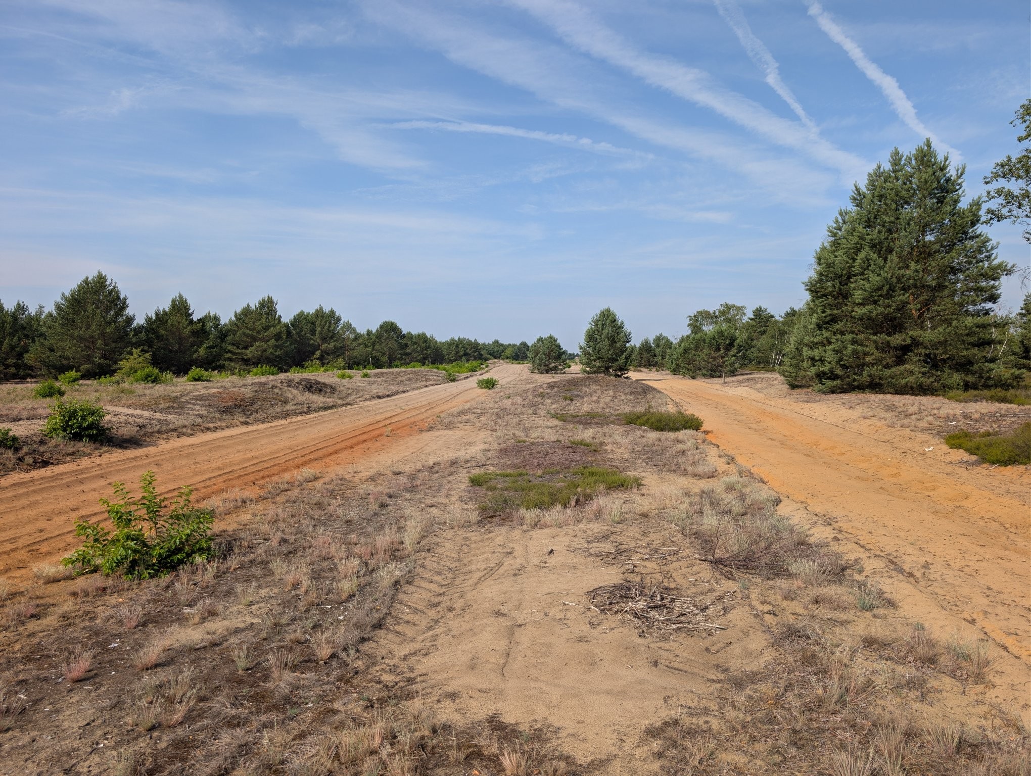 Two parallel orange sand paths towards the horizon in a dry landscape with s blue sky