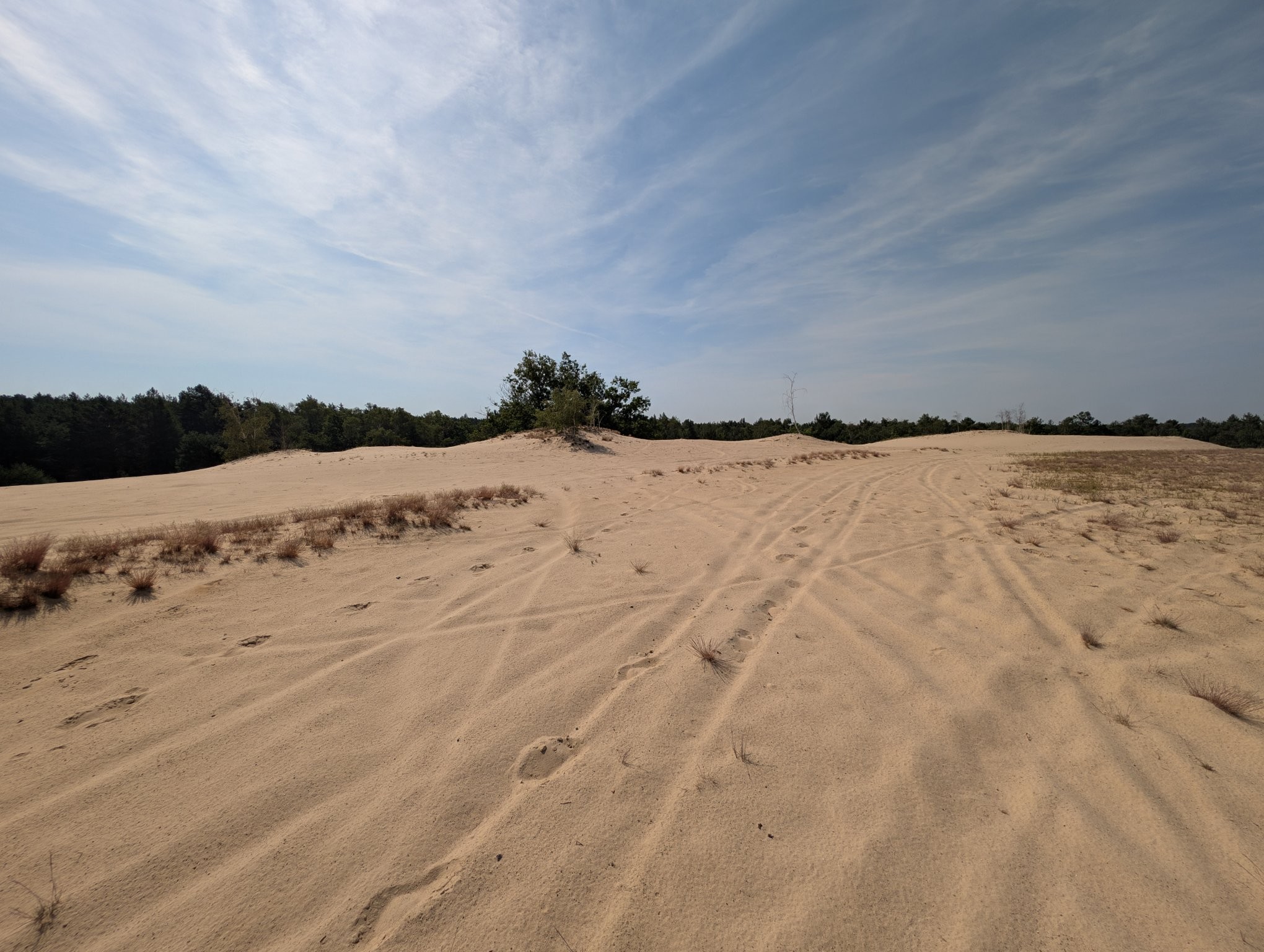 A large area of sand with some trees under a bright blue sky