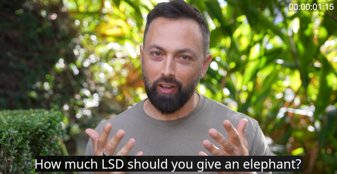 screenshot of Veritasium, asking "How much LSD should you give an elephant?"