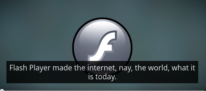 Screenshot of the opening of the linked video.

The Adobe flash logo with the caption "Flash Player made the internet, nay, the world what it is today"