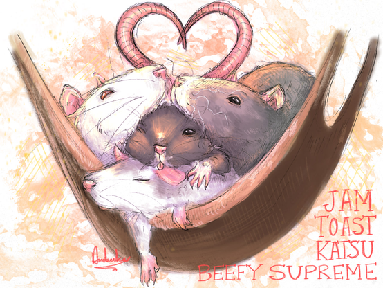 drawing of 4 pet rats in a hammock cuddling together, their tails forming a heart behind them. Their names: Jam, Toast, Katsu, Beefy Supreme