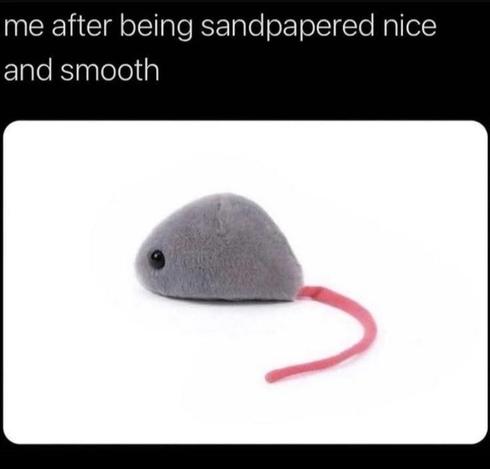 Photo of a textile cat toy in the shape of a very abstract and rounded rat, captioned "me after being sandpapered nice and smooth"